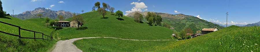 Verdi prati fioriti sul sent. 526 per Bivacco Plana con vista in Alben